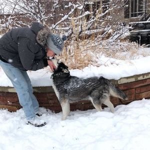 Meet your Posher, Mitchell